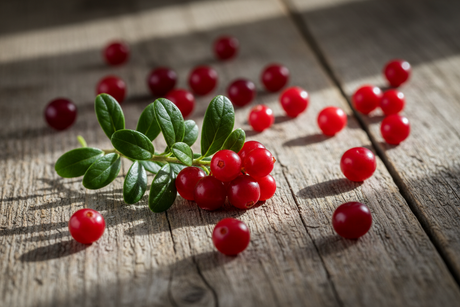 The Potent Powers of Cranberry Seed Oil and Hair Growth