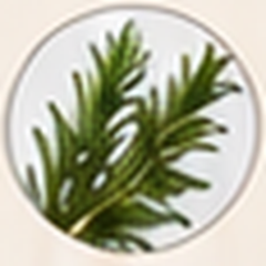 Rosemary